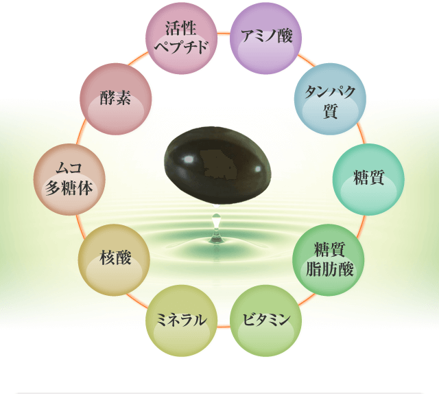 活性ペプチド アミノ酸 タンパク質 糖質 糖質脂肪酸 ビタミン ミネラル 核酸 ムコ多糖体 酵素