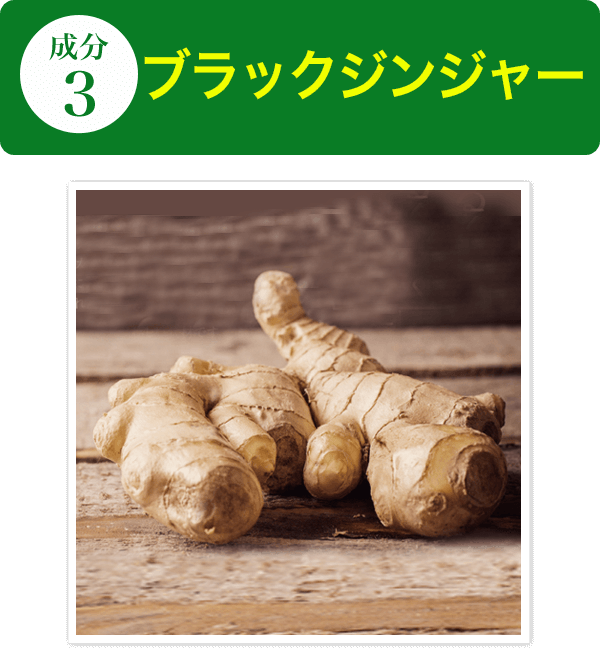 桑の葉ダイエットブラック 太田胃散の健康食品館 桑の葉ダイエットブラック 太田胃散の健康食品館