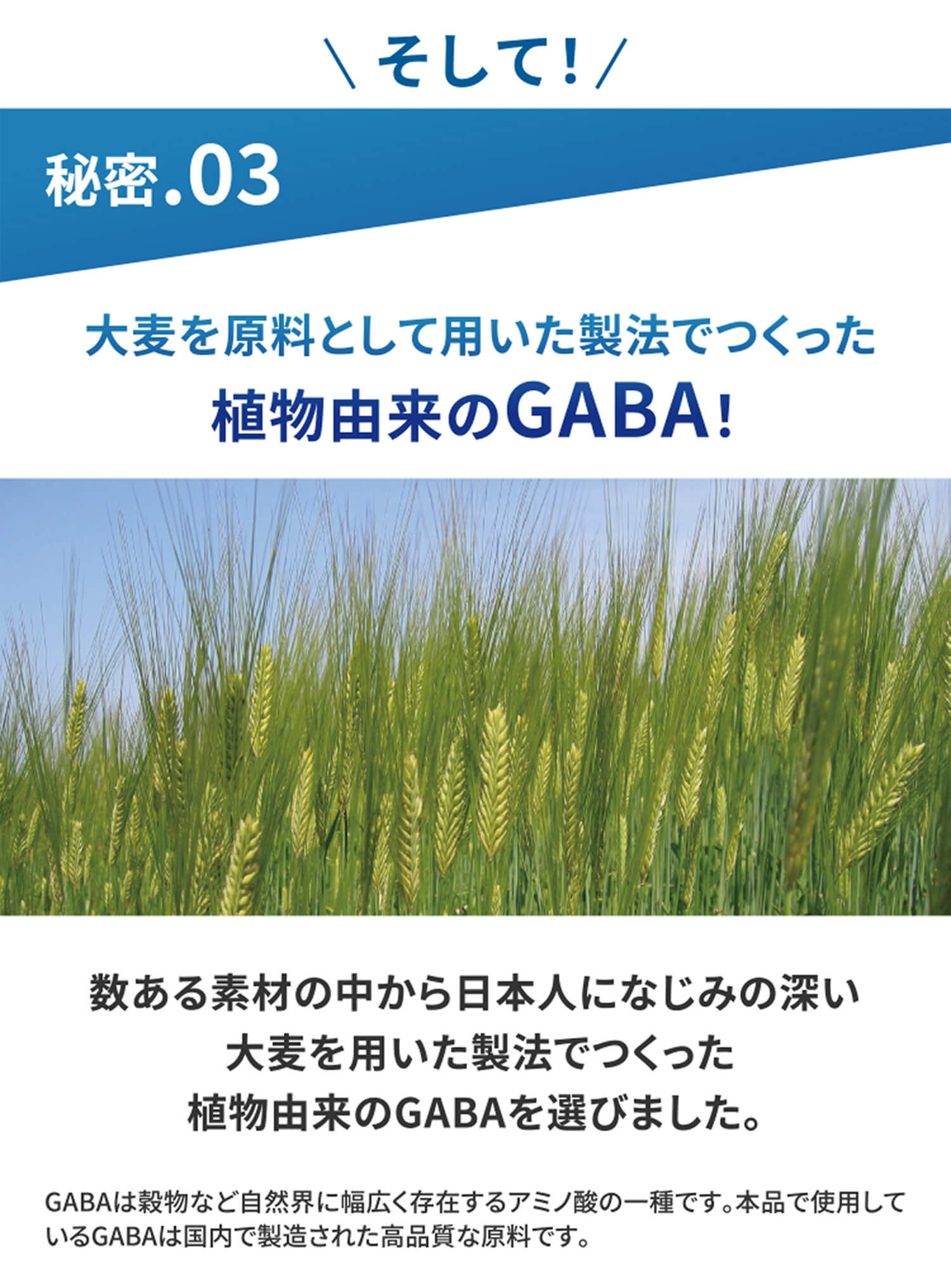 そして！秘密.03  大麦を原料として用いた製法でつくった植物由来のGABA！ 数ある素材の中から日本人になじみの深い大麦を用いた製法でつくった植物由来のGABAを選びました。GABAは穀物など自然界に幅広く存在するアミノ酸の一種です。本品で使用しているGABAは国内で製造された高品質な原料です。