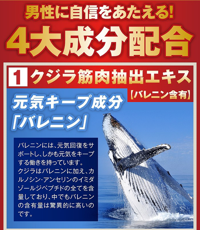 クジラ筋肉抽出エキス(バレニン含有)元気キープ成分「バレニン」