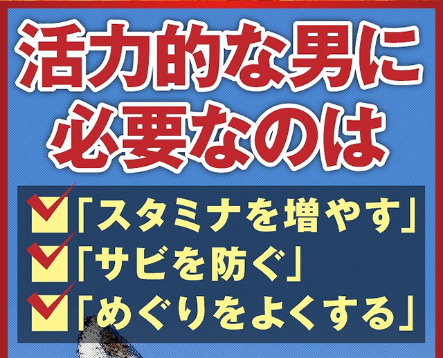 活力的な男に必要なのはスタミナを増やす、サビを防ぐ、めぐりをよくする