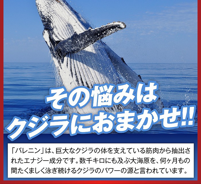 「バレニン」巨大なクジラの体を支えている筋肉から抽出されたエナジー成分です。