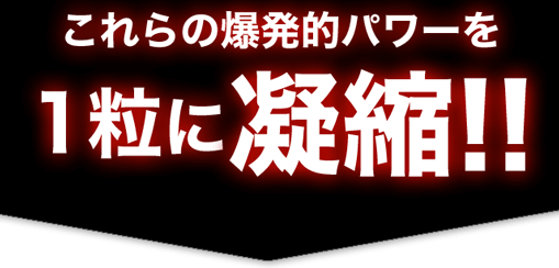 これらの爆発的パワーを1粒に凝縮!!