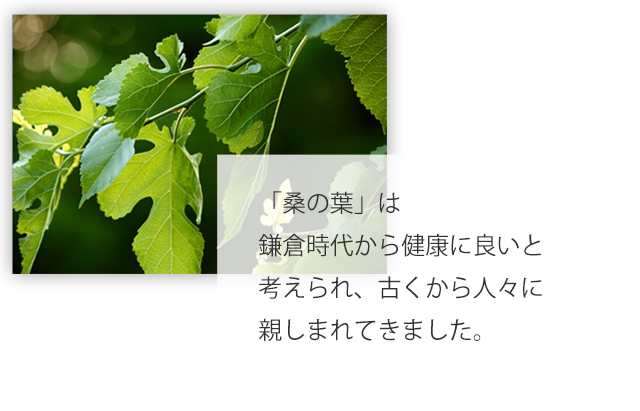 「桑の葉」は鎌倉時代から健康に良いと考えられ、古くから人々に親しまれてきました。