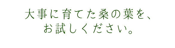 大事に育てた桑の葉を、お試しください。