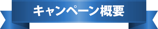 キャンペーン概要