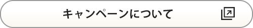 キャンペーンについて