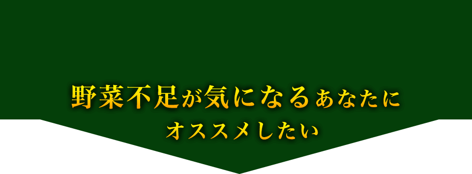 野菜摂取量の平均値 図解