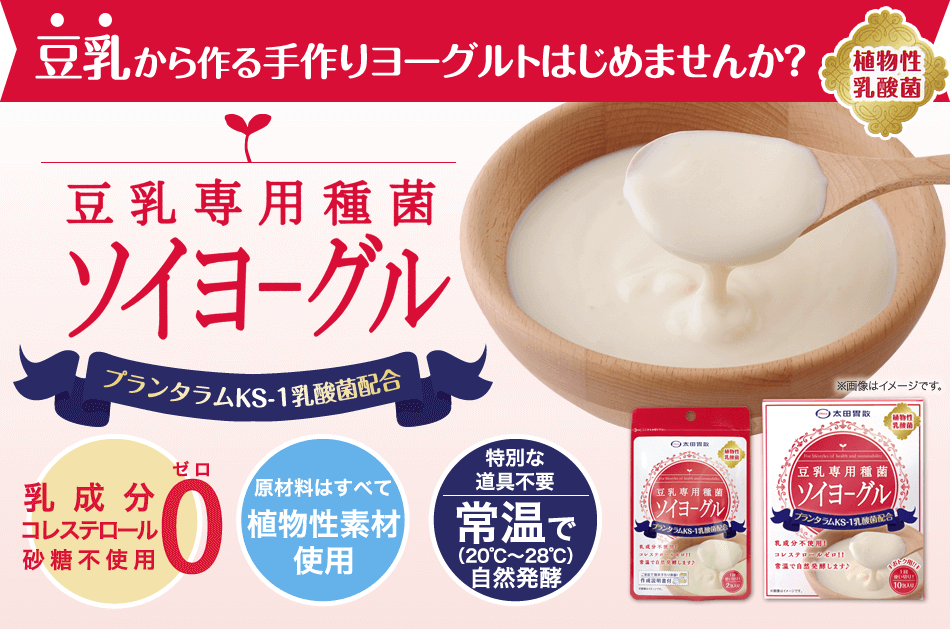 豆乳から作る手作りヨーグルト始めませんか 豆乳専用種菌 ソイヨーグル