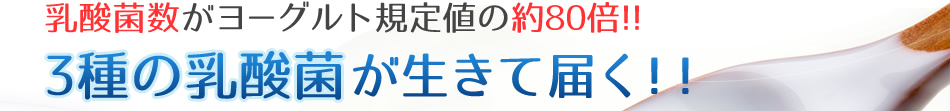 乳酸菌数がヨーグルト規定値の約80倍！！3種の乳酸菌が生きて届く！！