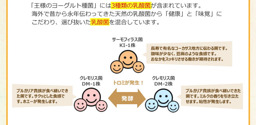 「王様のヨーグルト種菌」には3種類の乳酸菌が含まれています。海外で昔から永年伝わってきた天然の乳酸菌から「健康」と「味覚」にこだわり、選び抜いた乳酸菌を混合しています。