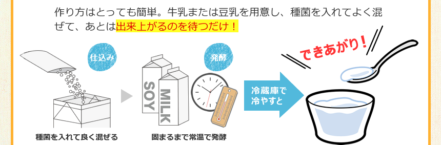 作り方はとっても簡単。牛乳または豆乳を用意し、種菌を入れてよく混ぜて、あとは出来上がるのを待つだけ！