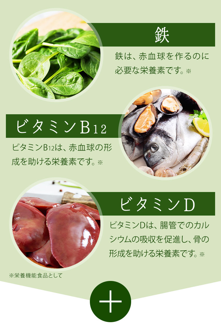 鉄 ビタミンB12 ビタミンD