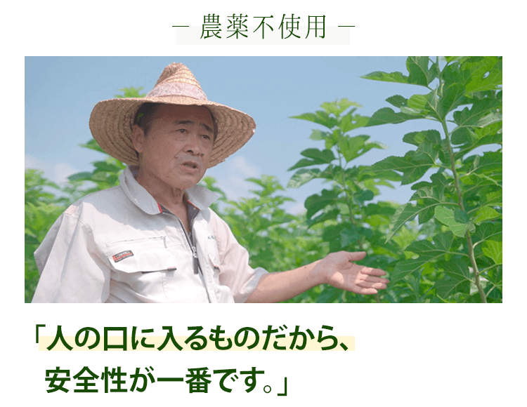 農薬不使用　「人の口に入るものだから、安全性が一番です」