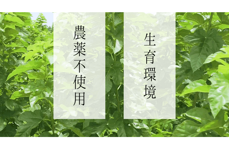 農薬不使用 生育環境 手作業