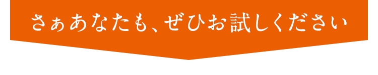 さぁあなたもぜひお試しください