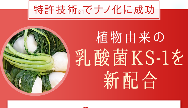植物由来のナノ型乳酸菌KS-1を新配合