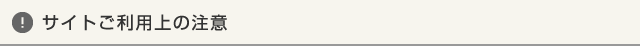 サイトご利用上の注意