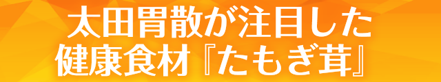 太田胃散が注目した健康食材たもぎ茸