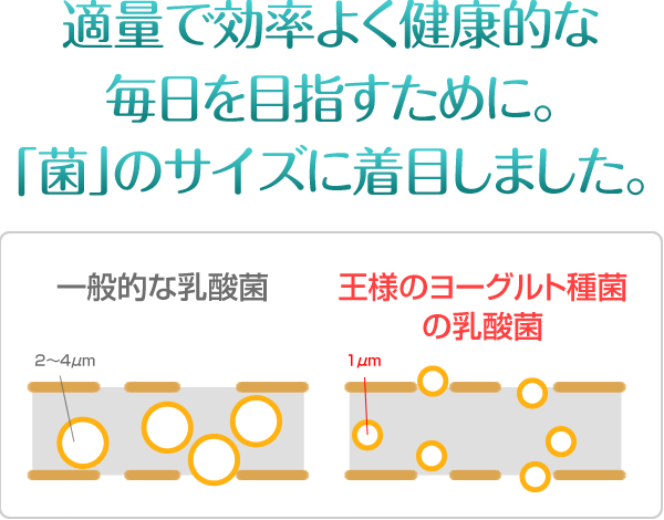 適量で効率よくスッキリを目指すために。「菌」のサイズに着目しました。